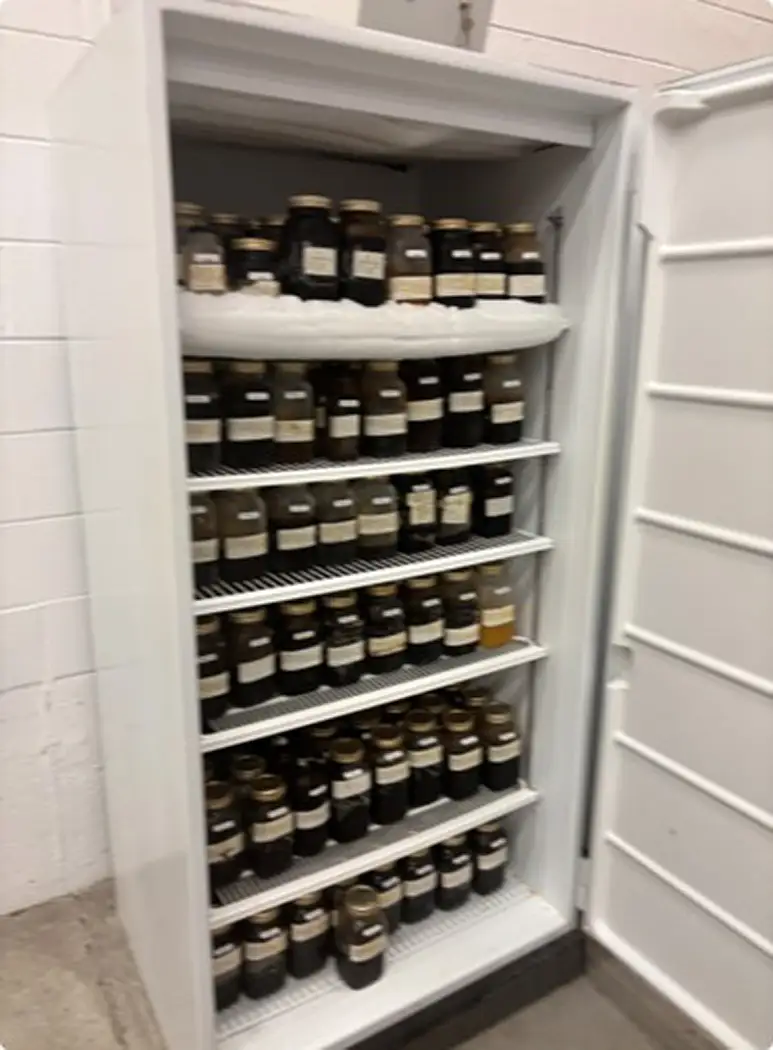 Labelled offshore oil samples preserved in jars at the Canada–Newfoundland and Labrador Offshore Energy Regulator storage facility